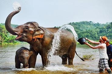 8 Days Cambodia and Laos Elephant Tour 