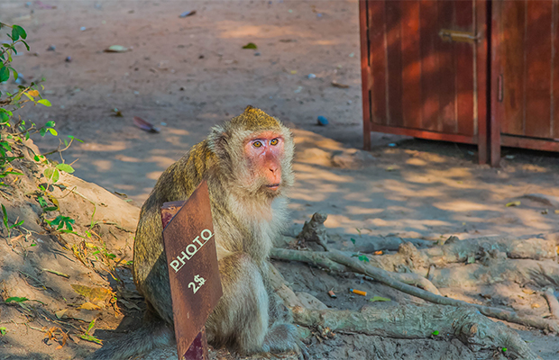 cambodia tour