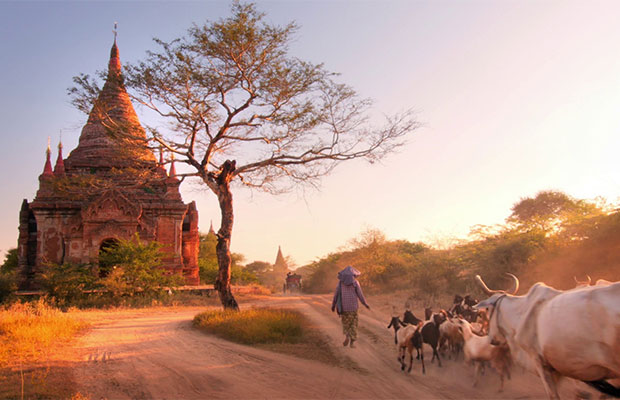 15 Days Highlights of Vietnam Cambodia and Myanmar Tour