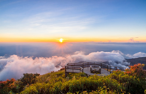 thailand tour