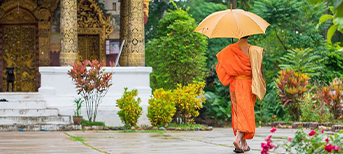 rainy season