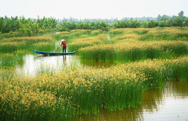 vietnam tour
