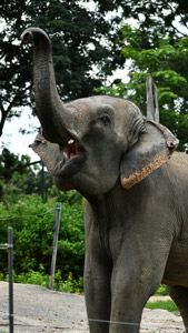 north thailand