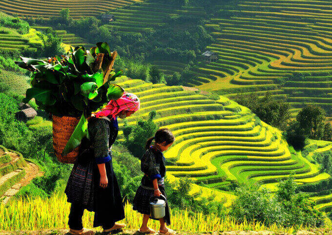 sapa-trekking