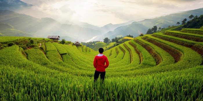 sapa-trekking-tour-in-august