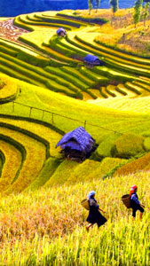 north vietnam