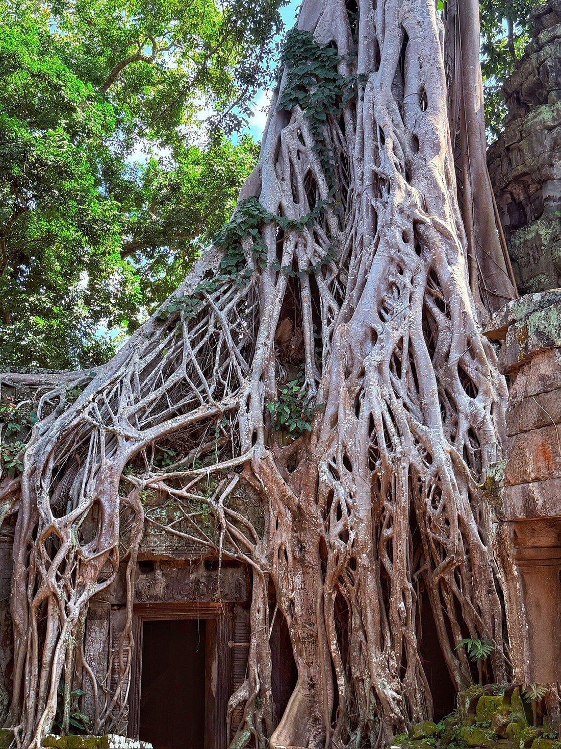 Indochina Tour