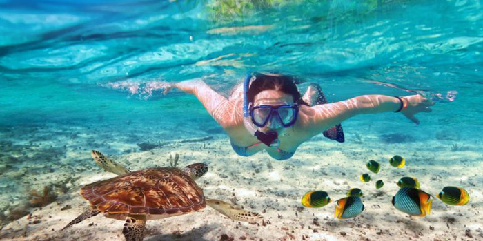 Snorkel in Phuket