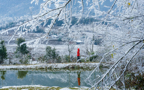 Vietnam Winter: Does it Snow? Can I Visit?