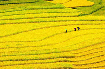 14 Days to Explore the Best of Vietnam Cambodia Thailand