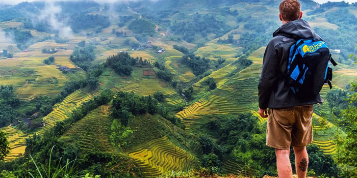 Vietnam Sapa rice paddy fields tour