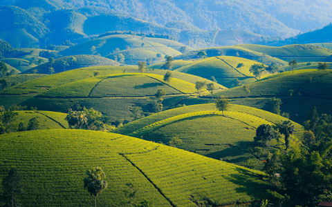 Vietnam Tour Packages 2025/2026: Private Vietnam Tour at Best Price